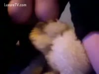 Animal sex clips with a cute dog